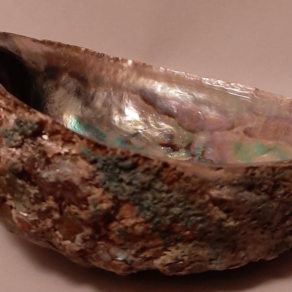 ABALONE SHELL Smudge - Picture 3 of 3